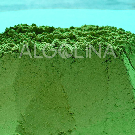 Algolina Matcha Ceremonial Grade A(++) PREMIUM PLUS - 1 KG Doypack